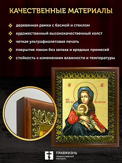 Икона Божией Матери Милостивая с золочением, деревянная рамка с басмой и стеклом 18х21х2,5 см 1120