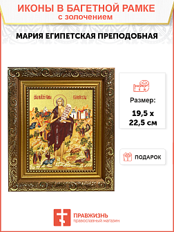 Икона "Мария Египетская", св. прп., с золочением поталью, 10037-УЛ