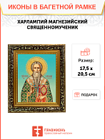Икона святого Харлампия Магнезийского священномученика и епископа, 09Х1