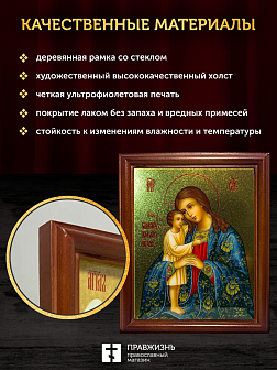 Икона Божией Матери Взыскание погибших с золочением, деревянная рамка со стеклом 15х18х2 см 102 Икона Божией Матери Взыскание погибших с золочением, деревянная рамка со стеклом 15х18х2 см 102