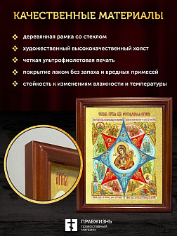 Икона Божией Матери Неопалимая Купина с золочением, деревянная рамка со стеклом 15х18х2 см 181 Икона Божией Матери Неопалимая Купина с золочением, деревянная рамка со стеклом 15х18х2 см 181
