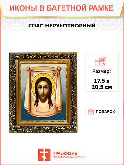 Образ Господа Иисуса Христа "Спас Нерукотворный", 02С3
