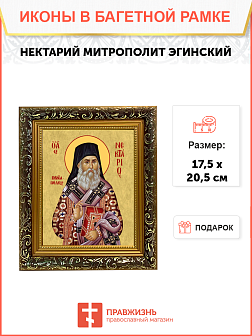 Образ святого Нектария (Кефаласа), митрополита Эгинского и Пентапольского, 09Н9