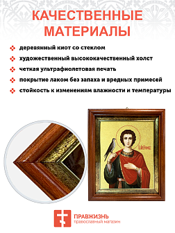 Икона "Трифон", св. мч., с золочением поталью, 09110-УЛ