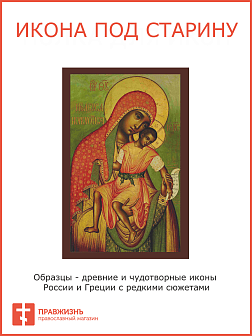 Киккская Икона Божьей Матери (Милостивая)