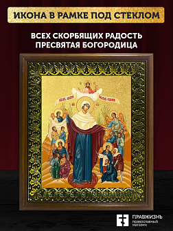 Икона Божией Матери Всех скорбящих Радость с золочением, деревянная рамка с басмой и стеклом 18х21х2 Икона Божией Матери Всех скорбящих Радость с золочением, деревянная рамка с басмой и стеклом 18х21х2