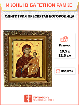 Образ Божией Матери "Одигитрия", 03О2