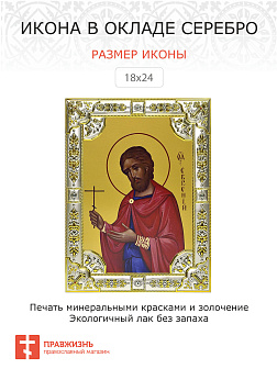 Икона Евгений Севастийский, мученик
