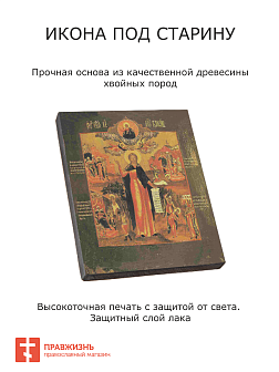 Икона Святая Варвара