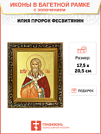 Икона "Илия Пророк Фесвитянин", св., с золочением поталью, 09И7-УЛ Икона "Илия Пророк Фесвитянин", св., с золочением поталью, 09И7-УЛ