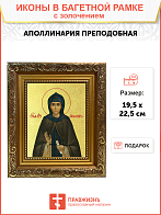 Икона "Аполлинария", св. прп., с золочением поталью, 10А7-УЛ Икона "Аполлинария", св. прп., с золочением поталью, 10А7-УЛ