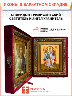 Образ святого Спиридона, епископа Тримифунтского, чудотворца, 09С8