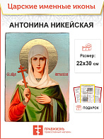 Икона Антонина Никейская 22х30 (030)
