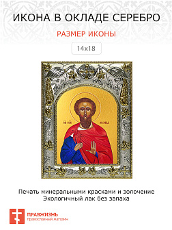 Икона Леонид святой мученик
