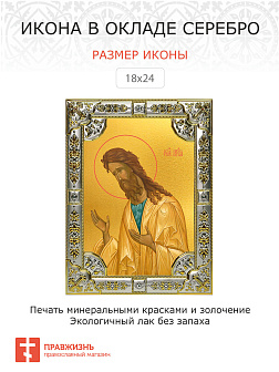 Икона Иоанн Предтеча