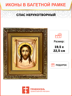 Образ Господа Иисуса Христа "Спас Нерукотворный", 02007 Образ Господа Иисуса Христа "Спас Нерукотворный", 02007