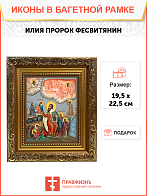 Образ святого святого Илии Пророка Фесвитянина, 09И20 Образ святого святого Илии Пророка Фесвитянина, 09И20