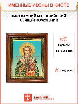 Икона святого Харлампия Магнезийского священномученика и епископа, 09Х1 Икона святого Харлампия Магнезийского священномученика и епископа, 09Х1