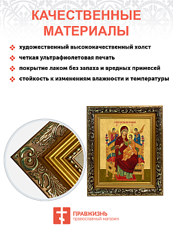 Образ Божией Матери "Всецарица", 03011