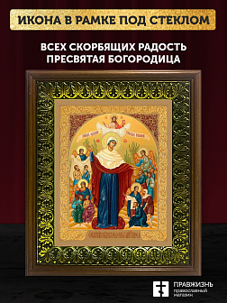 Икона Божией Матери Всех скорбящих Радость с золочением, деревянная рамка с басмой и стеклом 18х21х2