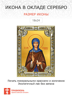 Икона ВАСИЛИССА Египетская, Преподобная