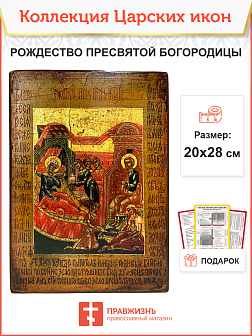 Не используетс Царская Икона 040 Рождество Пресвятой Богородицы 20х28 