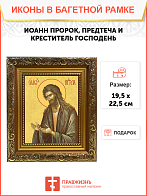 Образ святого Иоанна Пророка, Предтечи и Крестителя Господня, 09И6