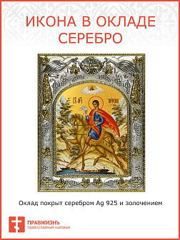 Икона ТРИФОН Апамейский Мученик