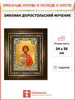 Икона Емилиан Доростольский мученик