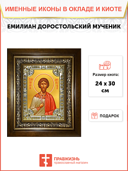 Икона Емилиан Доростольский мученик Икона Емилиан Доростольский мученик