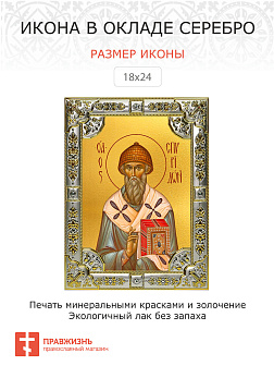 Икона СПИРИДОН Тримифунтский, Святитель