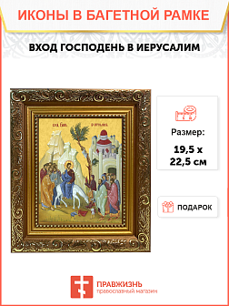 Образ Господа Иисуса Христа "Вход Господень в Иерусалим", 05В4 Образ Господа Иисуса Христа "Вход Господень в Иерусалим", 05В4