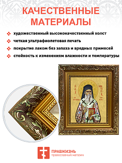 Образ святого Нектария (Кефаласа), митрополита Эгинского и Пентапольского, 09Н8