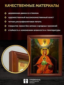 Икона Божией Матери Державная с золочением, деревянная рамка со стеклом 15х18х2 см 014