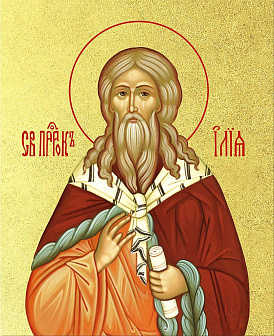 Икона Илия Фесвитянин пророк с золочением, деревянная рамка со стеклом 15х18х2 см 077