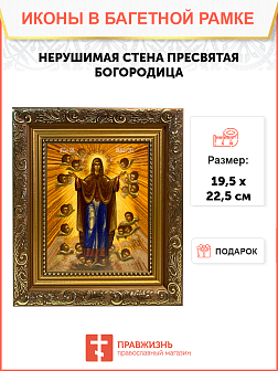 Икона Нерушимая Стена Божия Матерь на холсте в киоте 191