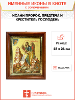 Икона "Иоанн", св. Предтеча и Креститель Господень, с золочением поталью, 09И12-УЛ