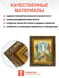 Образ Господа Иисуса Христа "Преображение Господне", 05П1