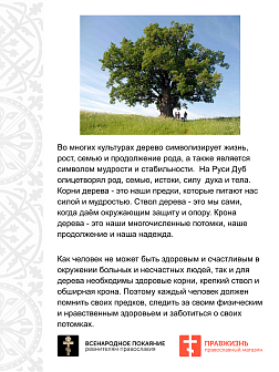 Набор шевронов Дерево на липучке, диаметр 9 см, материал оксфорд, цвет черный, нитка белая 3 шт.