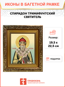 Образ святого Спиридона, епископа Тримифунтского, чудотворца, 09102