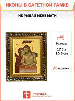 Образ Спасителя и Божией Матери "Не рыдай Мене Мати", 03Н2