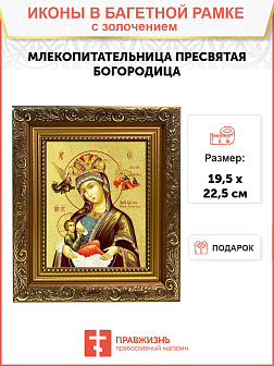 Икона Божией Матери "Млекопитательница" с золочением поталью, 03043-УЛ