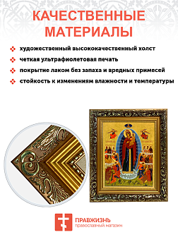 Икона Всех скорбящих Радость Божия Матерь на холсте в киоте 153
