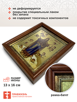 Икона Божией Матери Нерушимая стена с золочением в киоте 18х21х4 см