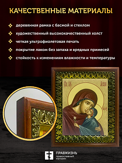 Икона Анна Праведная мать Пресвятой Богородицы, деревянная рамка с басмой и стеклом 15х18х2 см