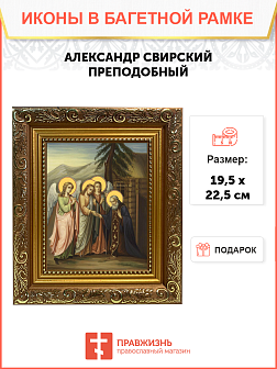 Образ святого Александра Свирского, преподобного, 09А4