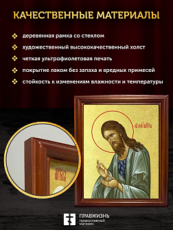 Икона Иоанн пророк Предтеча и Креститель Господень с золочением, деревянная рамка со стеклом 15х18х2