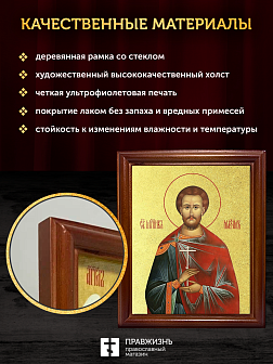 Икона Максим Антиохийский мученик с золочением, деревянная рамка со стеклом 15х18х2 см 351