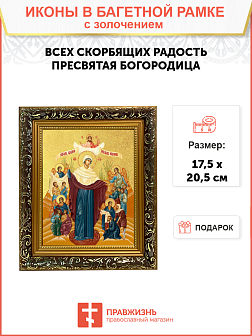 Икона Божией Матери "Всех Скорбящих Радость" с золочением поталью, 03010-УЛ