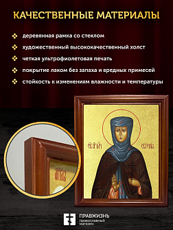 Икона Евгения Римская преподобномученица с золочением, деревянная рамка со стеклом 15х18х2 см 069 Икона Евгения Римская преподобномученица с золочением, деревянная рамка со стеклом 15х18х2 см 069